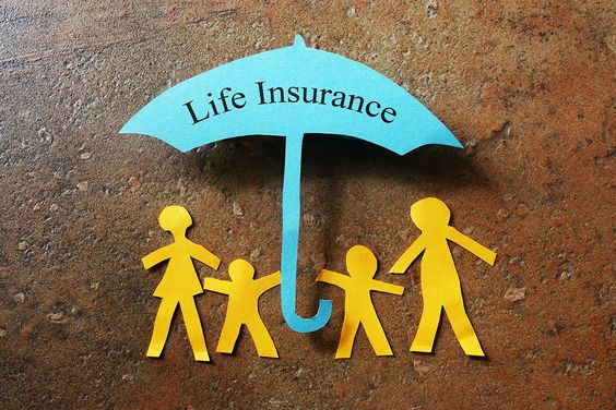 Life Insurance: Understanding Your Options